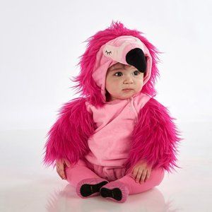 Baby Flamingo Halloween Costume - Pottery Barn Kids